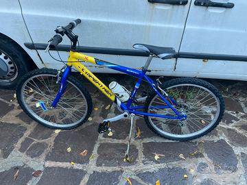 bicicletta da ragazzo