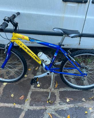 bicicletta da ragazzo