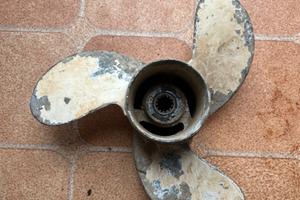 Elica evinrude o johnson