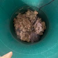 acquario marino rocce vive