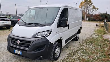 Fiat Ducato 30 2.3 MJT 120CV PC-TN Furgone
