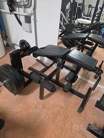 leg curl disteso/seduto + leg extension 