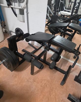 leg curl disteso/seduto + leg extension 