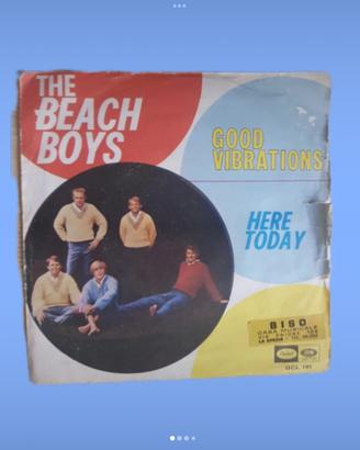 Disco vinile di the beach boys