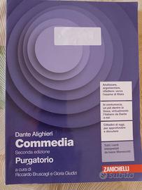 Dante Alighieri Commedia ( Purgatorio)