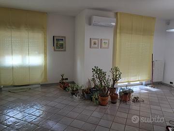 2 singole a studentesse