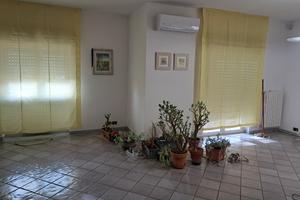 2 singole a studentesse