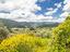 Immagine 26