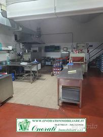 MQ 1480 GUIDONIA, ZONA INDUSTRIALE/ROMA EST, Rif.V