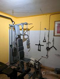 Pectoral machine con accessori