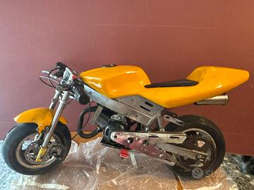 Minimoto cinese