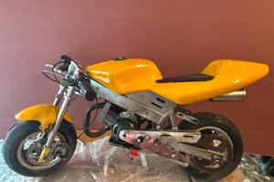 Minimoto cinese