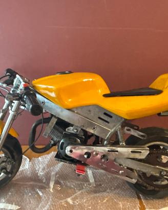 Minimoto cinese