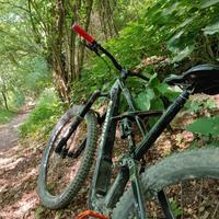 Specialized enduro XL