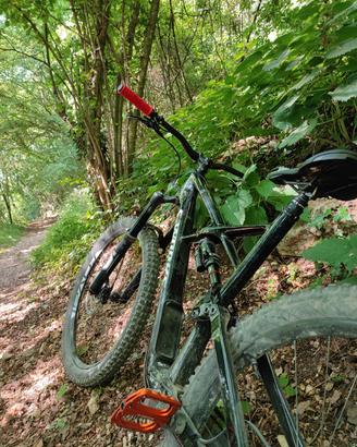 Specialized enduro XL