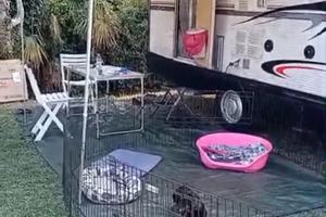 camper pronto a partire