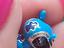 Immagine 3