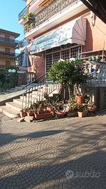 LOCALE COMMERCIALE Zona Aurelia
