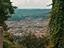 Immagine 13