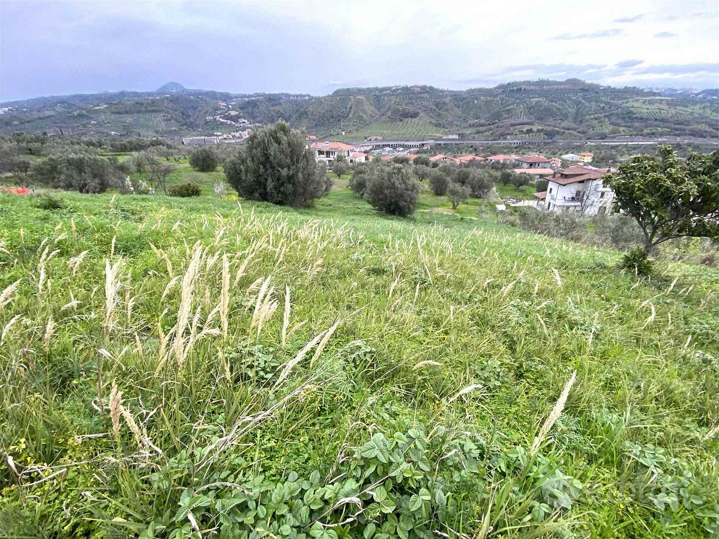 Rif.RI84| area edificabile settingiano - Vista 5