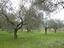 Immagine 18