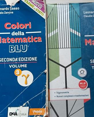 libro di testo matematica per  liceo scientifico