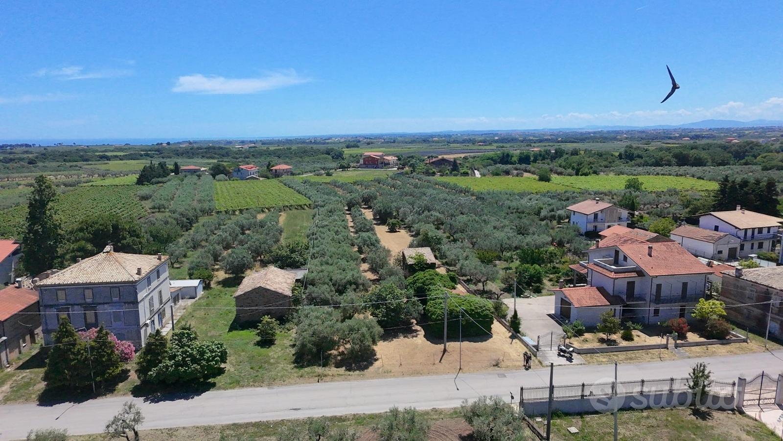 Terreno edificabile 2.000mq e rudere S.v. Chietino - Vista 5