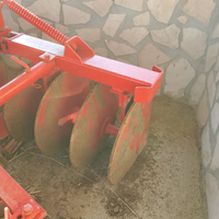 Frangizolle angeloni