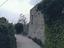 Immagine 6