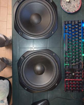 woofer pioneer 20 cm ohm 6.5