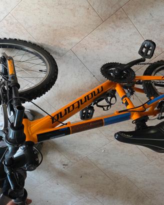 Bicicletta bambino, con cambio, ruota "20", 