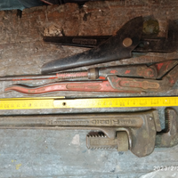 Serie pappagalli pinze a becco