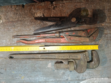 Serie pappagalli pinze a becco