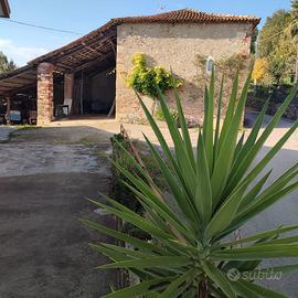 Casa indipendente con panorama mozzafiato