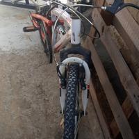 bicicletta mtb20