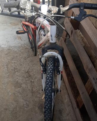 bicicletta mtb20