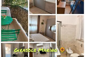 Girasole Marino