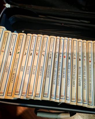 Dorling la biblioteca della natura