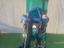 Immagine 2
