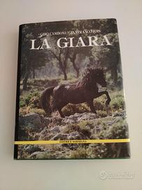 40 libri vari
