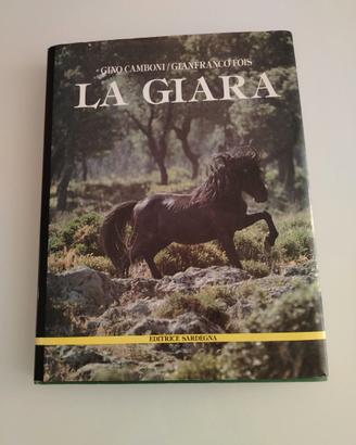 40 libri vari