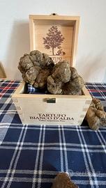 Addestratore cane da tartufi