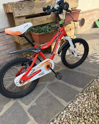 Bicicletta bambino Kawasaki