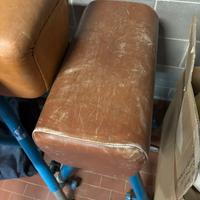 Cavallina piccola ginnastica artistica