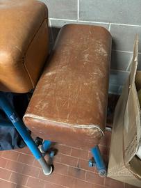 Cavallina piccola ginnastica artistica