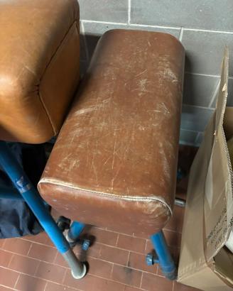 Cavallina piccola ginnastica artistica