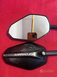 Barracuda Ego-carbon omologati