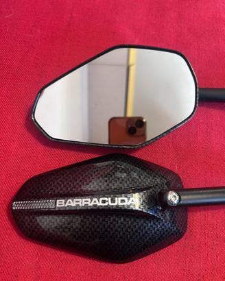 Barracuda Ego-carbon omologati