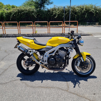 Triumph daytona speed triple 955i