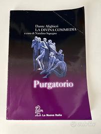 Letteratura italiana - Purgatorio